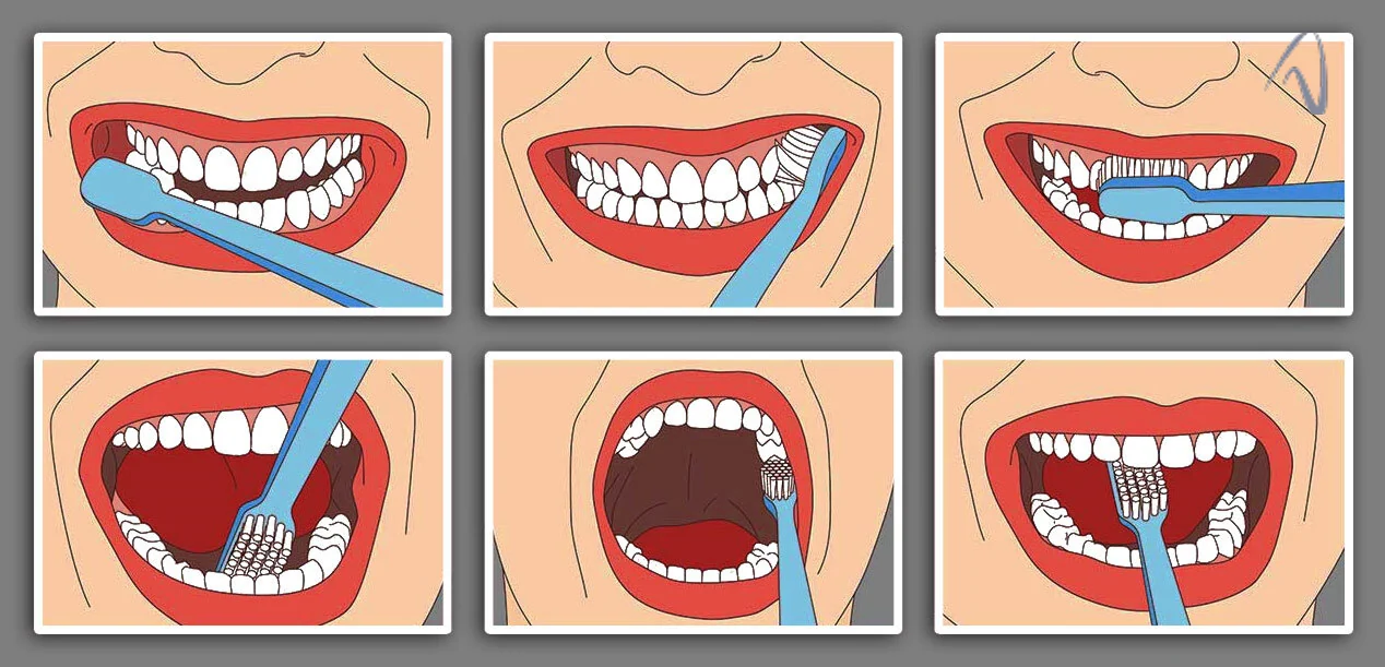 روش صحیح مسواک زدن